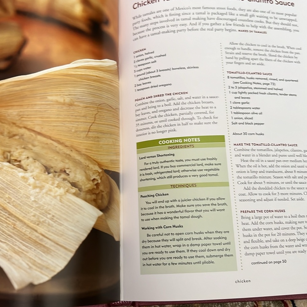 Simply Mexican by Lourdes Castro - Picture 14 of 15